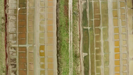 Drohnen-Luftaufnahme,-Flug-über-Salzwasser,-Kanäle-Und-Teiche,-Die-Teil-Der-Salzaktivität-Sind,-Wie-Ein-Farbmuster-Mit-Blick-Auf-Wunderschöne-Grafische-Landschaftsaufnahmen,-Frankreich