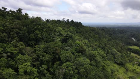 Drone-flying-and-orbiting-along-side-of-a-mountain-covered-by-thick-rainforest-in-central-America