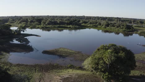 Aerial-of-a-lake-in-wild-Pantanal