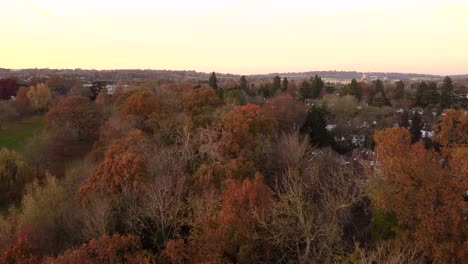 Aerial-shot-over-a-British-town-in-autumn-with-orange-leaves-on-trees