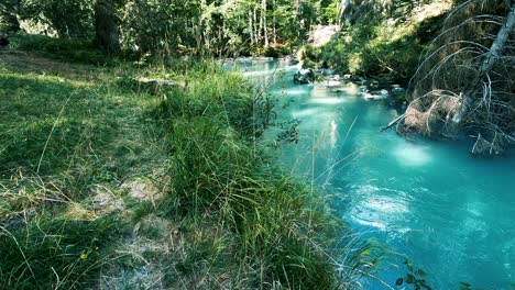 Türkisblauer-Fluss,-Der-Durch-Einen-Märchenwald-Fließt,-Entspannender-Und-Ruhiger-Hintergrund-Bildschirmschoner