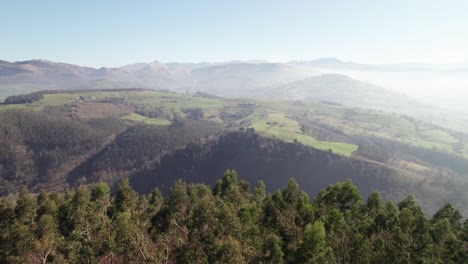 Tall-green-trees-atop-a-mountain-in-Spain's-Cantabria-province-while-the-valley-is-largely-shrouded-in-low-hanging-fog