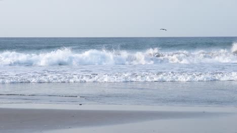 Medium-blue-wave-crashes-at-Popoyo-beach-in-West-Nicaragua-with-seagull-flying,-Pan-left-shot
