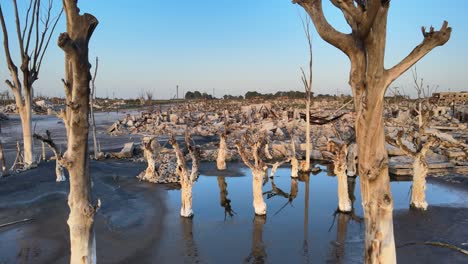 Deserted-place-once-thriving-tourists-hotspot-that-went-underwater-for-years,-now-uninhabitable,-silent-and-lonely-with-buildings-rubbles-and-dead-trees-covered-in-salt-at-Villa-Epecuén
