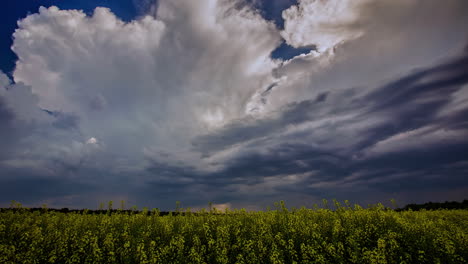 Time-lapse-shot-of-mysterious-emerging-clouds-at-blue-sky-over-yellow-canola-field