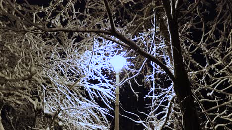 Snow-Covered-Bare-Tree-Branches-Illuminated-By-A-Lamppost-At-City-Park-During-Winter