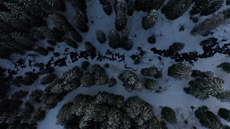 Top-down-aerial-of-nearly-frozen-river-in-forest---drone-slowly-ascending