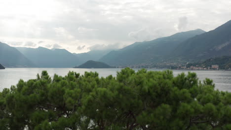 Aerial-over-green-tree-and-revealing-lake-Como-in-Italy