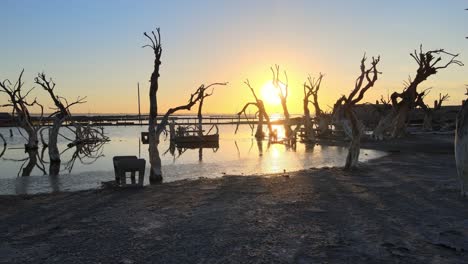 Golden-hour-along-shoreline-of-Epecuen-Town-Shot-tracking-forward