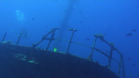 Female-scuba-diver-swimming-over-shipwreck