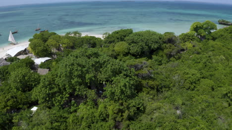 Baobab-Baum-Im-Tropischen-Regenwald-An-Der-Meeresküste-Mit-Fischerdorf