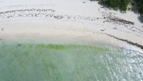 White-sand-beach-of-tropical-island-in-Zanzibar,-overhead-drone-shot