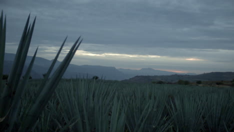Nubes-Moviéndose-Sobre-Campos-De-Agave-Entre-Las-Montañas-De-Tequila,-Jalisco,-México