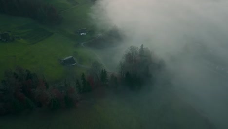 Fog-in-a-green-valley-at-sunset