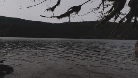 Buntzen-Lake-Coquitlam-BC-Weitwinkelschwenk-Nach-Links-Bäume-Moos-Wasser-Malerische-Aussicht-Auf-Wolken-Berge-An-Bewölkten-Tagen