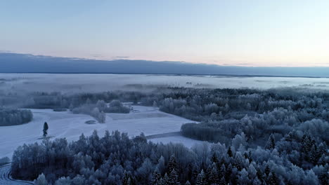 Luftüberflug-Wunderschöne-Winterlandschaft-Mit-Gefrorenen-Feldern-Und-Verschneiten-Waldbäumen,-Die-Von-Mystischem-Morgennebel-Bedeckt-Sind