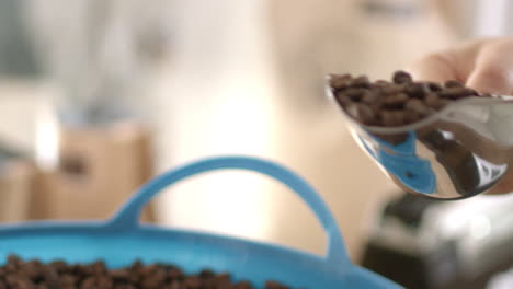 Frisch-Geröstete-Bio-Kaffeebohnen-Werden-In-Verkaufsfertige-Verpackungen-Geschöpft