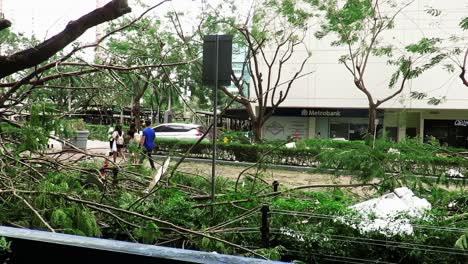 In-the-aftermath-of-typhoon-Odette-,-a-few-cleared-streets-that-became-passable-would-show-denuded-trees-and-much-architectural-damage-on-buildings