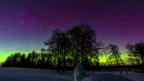 Zeitraffer:-Spektakulärer-Bunter-Nachthimmel-Mit-Vielen-Sich-Bewegenden-Sternen-Und-Leuchtend-Grünen-Aurora-Borealis-Lichtern---Silhouette-Von-Bäumen-Und-Verschneite-Winterlandschaft-In-Der-Natur