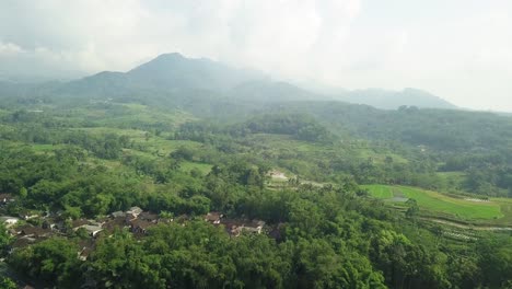 aerial-drone-view-of-Tonoboyo-village-Bandongan,-Magelang