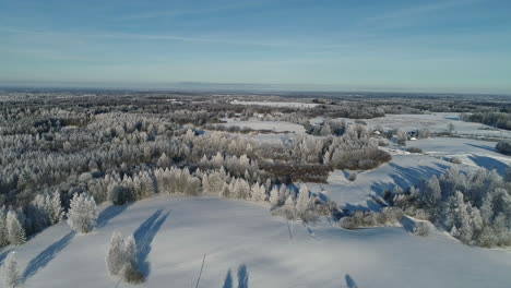 An-aerial-shot-of-pine-forest-hidden-under-a-layer-of-snow