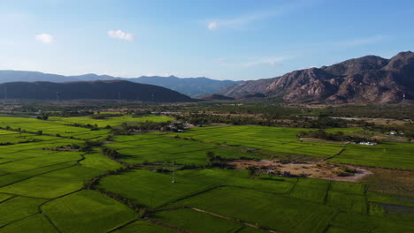 Drone-reveal-shot-footage-of-rice-fields-at-foot-of-mountains-in-Vietnam