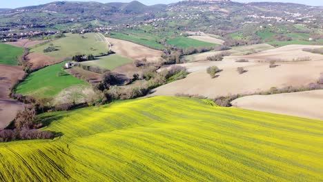 Aerial-landscape-of-natural-organic-rapeseed-farm-plantation,-Italian-hill-countryside