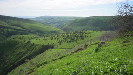 Weiter-Panoramablick-Auf-Das-Tal-Und-Die-Hügel,-Die-Mit-Grüner-Vegetation-Bedeckt-Sind,-Die-Sich-Im-Leichten-Wind-Bewegt