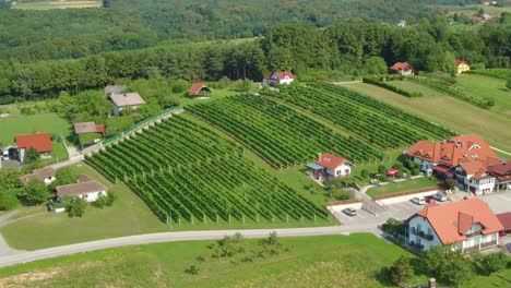 Berühmte-Weinregion-In-Slowenien