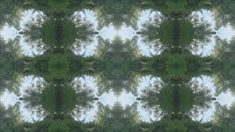 Kaleidoskop-Der-Waldlandschaft,-#10