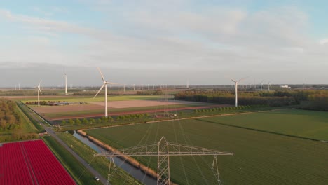 Campo-De-Tulipanes-Rojos-Con-Vista-De-Turbinas-Eólicas-Y-Torres-De-Alta-Tensión-Y-Cables-En-Flevoland,-Países-Bajos