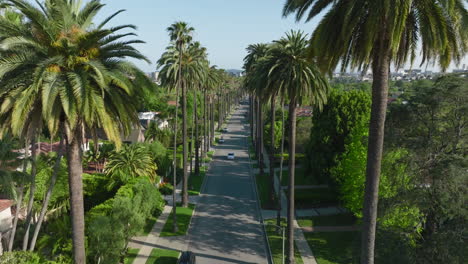 Aerial-Shot-Flying-Through-Palm-Trees-on-Luxury-Beverly-Hills-Residential-Street