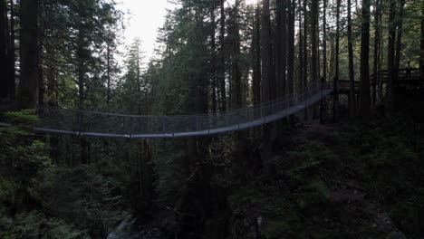 Forest-suspension-bridge-hanging-over-large-valley-with-stream-passing-underneath