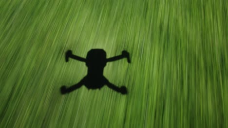 Schattensilhouette-Einer-Drohne,-Die-über-Der-Wiese-In-Die-Baumgrenze-Fliegt