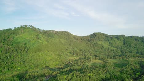 Slow-aerial-forward-flight-towards-green-hills-with-growing-tropical-trees-and-plants-against-blue-sky---Lush-mountain-landscape-in-Asia
