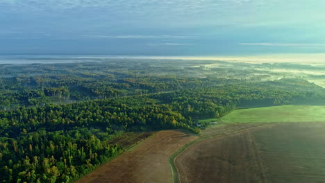 Aerial-drone-shot-of-fog-rolling-over-vast-green-forest-in-the-background-with-the-view-of-agricultural-field-in-the-foreground-at-dawn