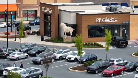 PF-Chang's-restaurant-in-retail-center