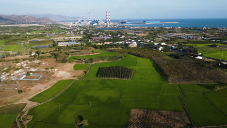 Coastal-power-plant-by-rice-plantation,-aerial-panorama