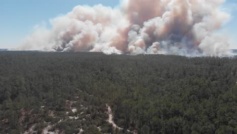 Waldbrand-Rauchwolken-Brennender-Weg-Straße-Ocala-National-Forest-Florida-Luftdrohne-Neigung-Offenbaren