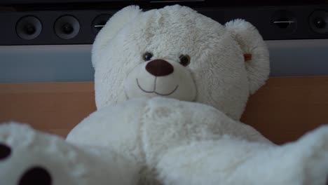 Sliding-Horizontal-Motion-of-a-Big-White-Teddy-Bear-on-the-Floor-in-front-of-a-TV-Unit