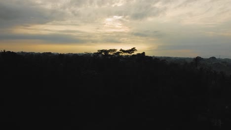 Amazing-cinematic-Ubud,-Bali-drone-footage-with-exotic-sunrise,-small-farms-and-agroforestry-plantation