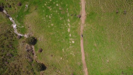 Aerial-top-down-shot-of-4x4-car-driving-on-rural-path-between-green-fields-during-sunlight
