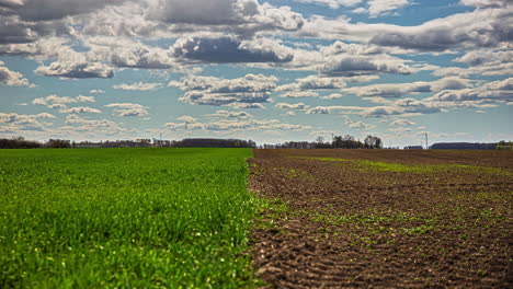 Timelapse-shot-of-brown-ploughed-field-and-green-young-wheat-field-under-white-clouds-passing-by-at-daytime