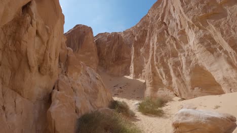 POV-Into-Sandstone-Canyon-In-Egypt-With-Bush-Plants