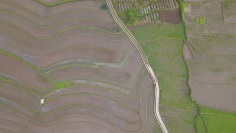 Aerial-view-of-terraced-rice-fields-in-Magelang,-Indonesia