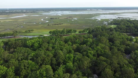 Marsh,-swamp-in-Charleston,-SC-Kiawah-Island