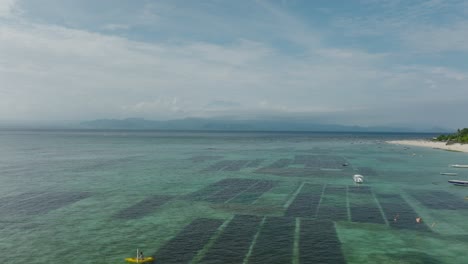Seaweed-farm-submerged-under-shallow-tropical-water-near-shore-of-island,-aerial