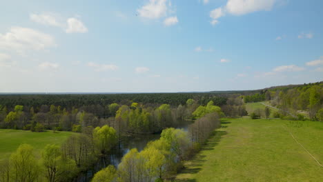 Green-carpet-like-Myslcinek-large-park-Poland-aerial