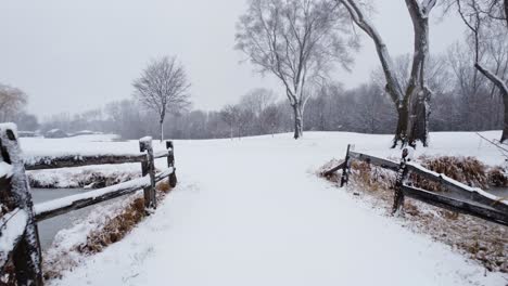 Snowy-Winter-Wonderland