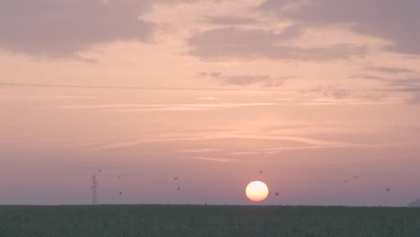 Vögel-Fliegen-Bei-Sonnenaufgang-über-Ackerland